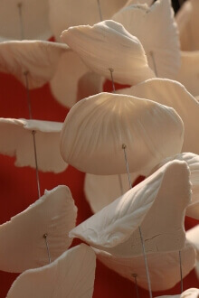 Mobiles-detail