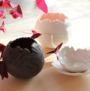 Collection PIVOINES