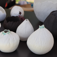 vase graine Po-2