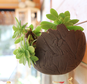 Coquille décorative grès brun 13cm