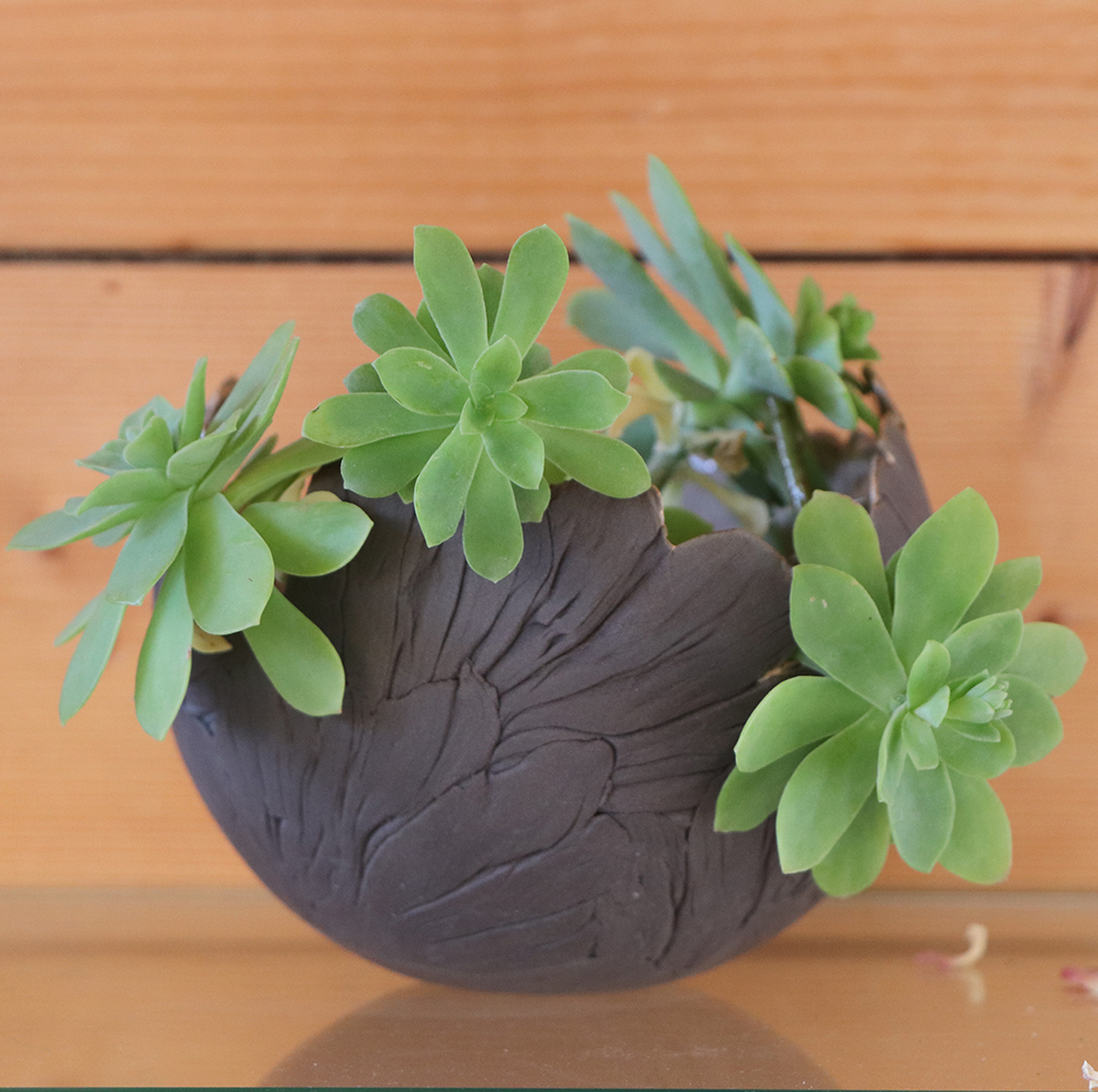 Coquille décorative grès brun 13cm – Image 3