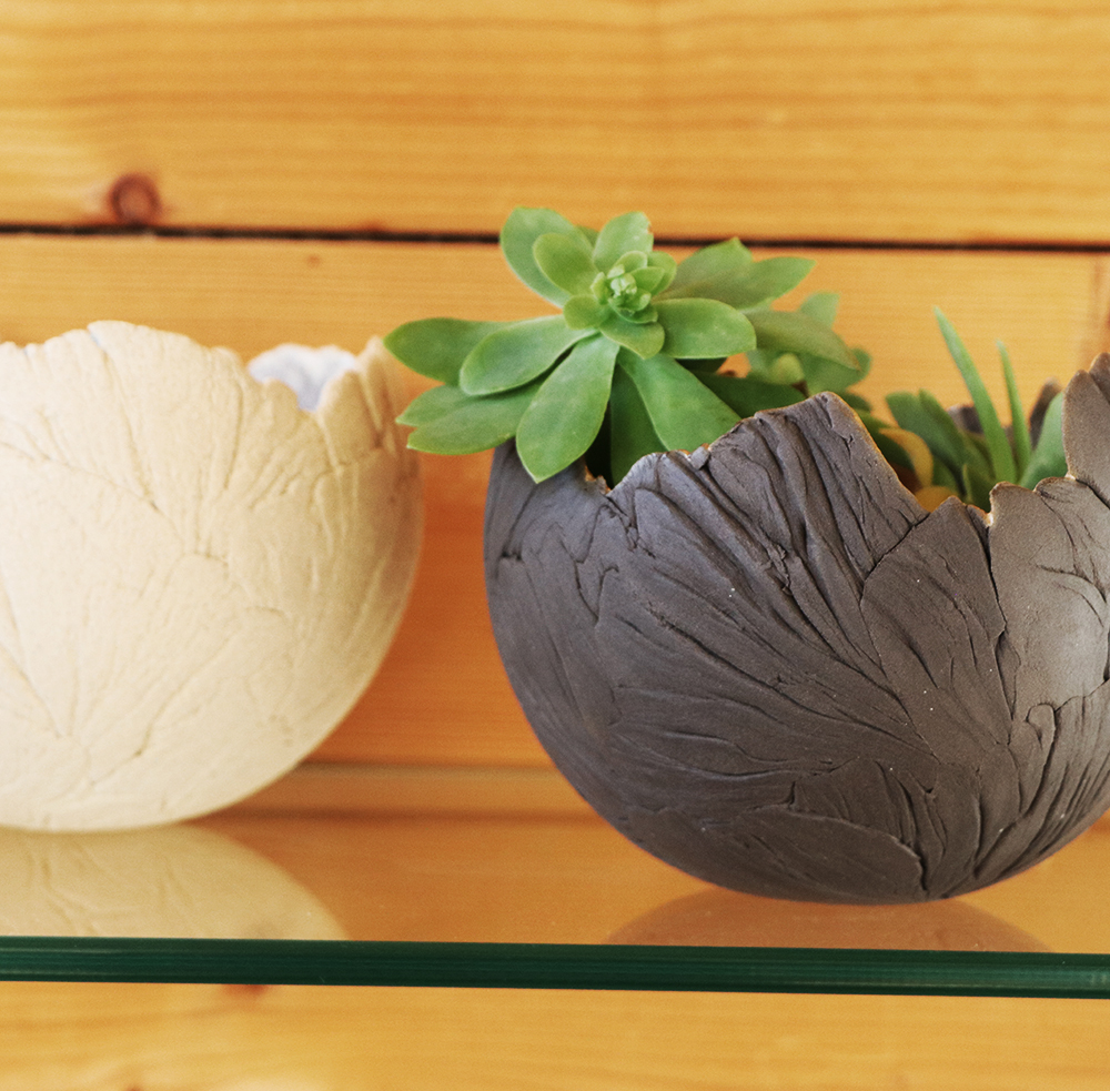 Coquille décorative grès brun 13cm – Image 2