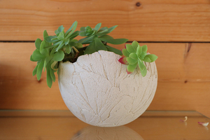 Coquille décorative grès ecru 13cm