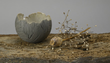 CoqGrèsBrun-9cm-B